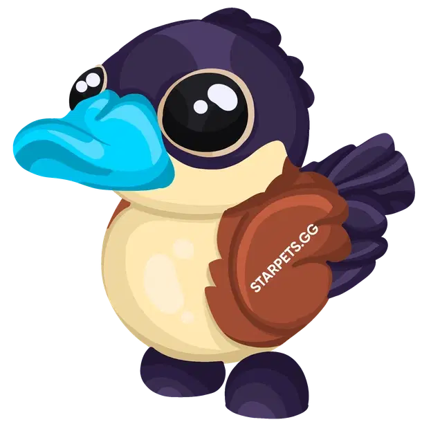 Ruddy Duck
