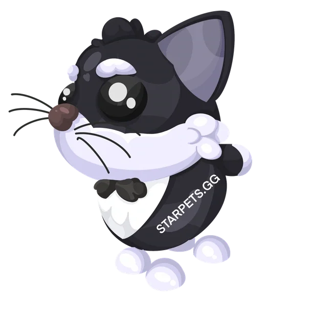 Tuxedo Cat