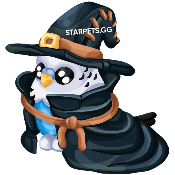 Budgie Witch