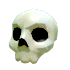 Halloween White Skull Hat