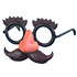 Disguise Glasses