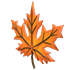 Eco Orange Maple Headpiece