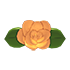 Flower Lapel