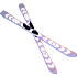 Skis