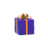 Gift Throw Toy