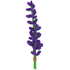 Lavender Bundle