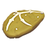 Dimorphodon Fossil