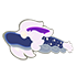 Midnight Dragon Kite