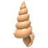 Musical Conch