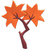 Maple Leaf Treat