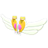 Magic Girl Wings