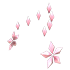 Flower Aura